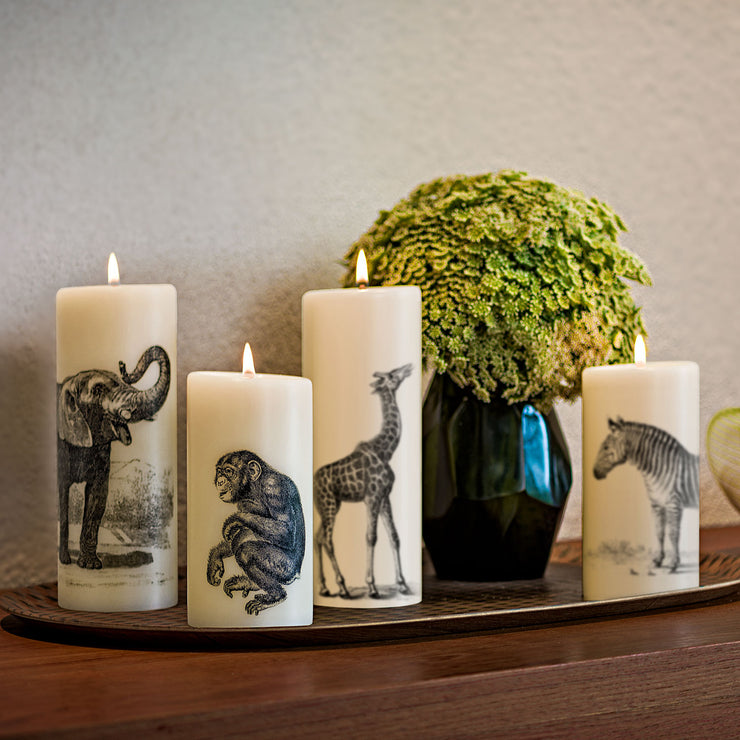 Zebra 6 Inch Pillar Candle