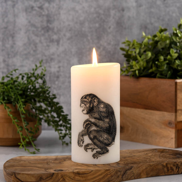 Lucid Candle Chimpanzee Pillar Candle